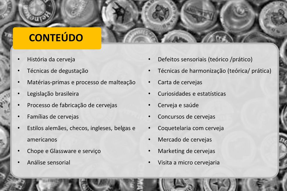 Análise sensorial Defeitos sensoriais (teórico /prático) Técnicas de harmonização (teórica/ prática) Carta de cervejas Curiosidades