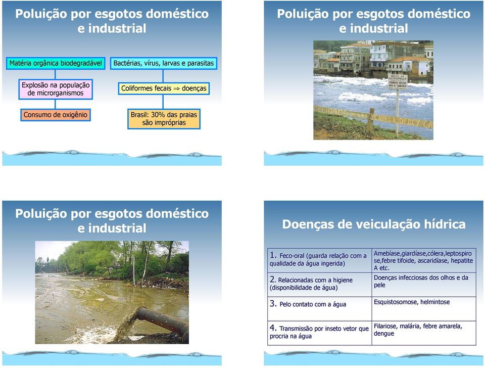 Feco-oral (guarda relação com a qualidade da água ingerida) 2.