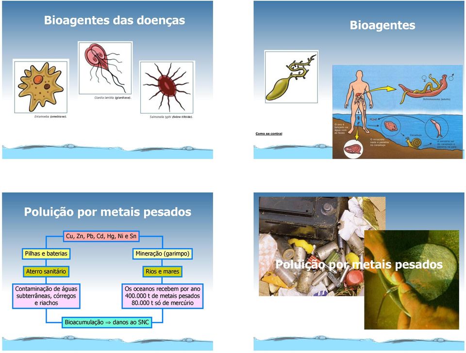 e mares Poluição por metais pesados Contaminação de águas subterrâneas, córregos e riachos Os