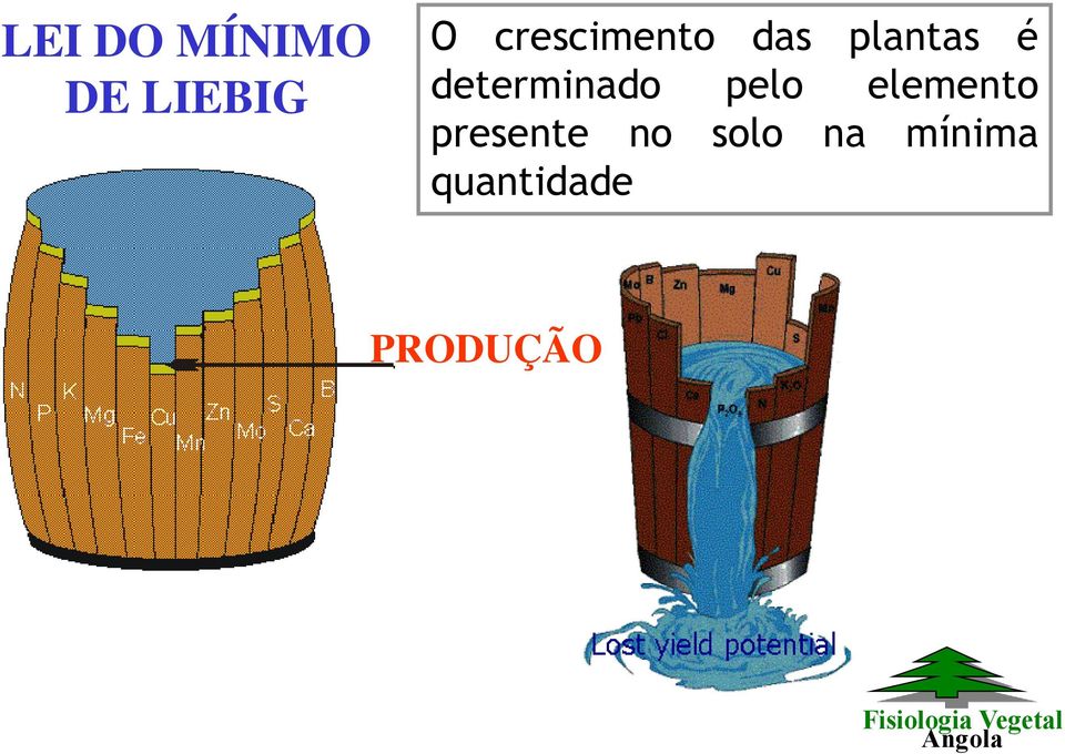 determinado pelo elemento