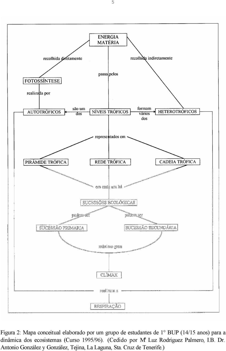 ecosistemas (Curso 1995/96).