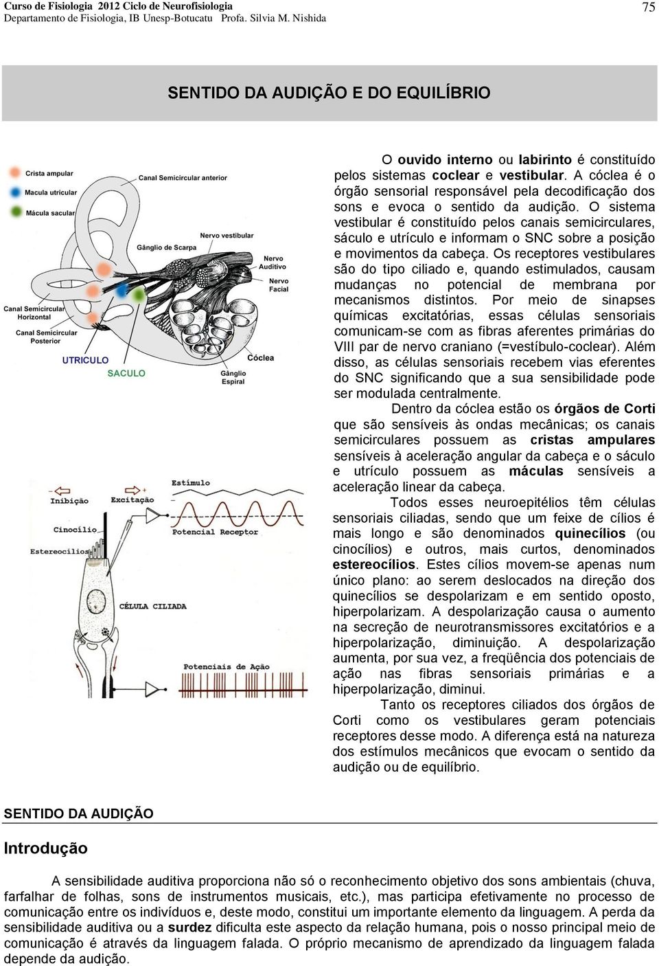 O sistema vestibular é constituído pelos canais semicirculares, sáculo e utrículo e informam o SNC sobre a posição e movimentos da cabeça.