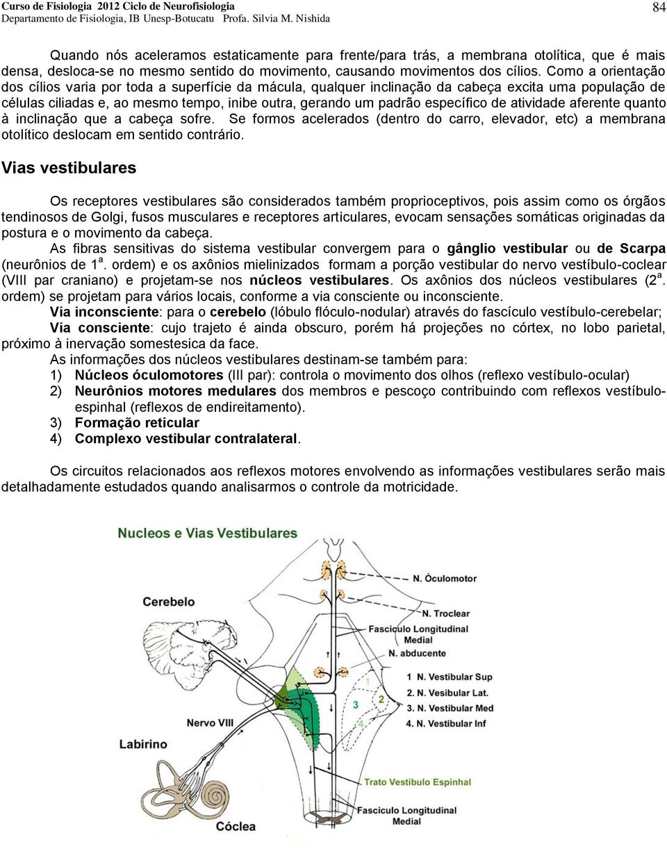 de atividade aferente quanto à inclinação que a cabeça sofre. Se formos acelerados (dentro do carro, elevador, etc) a membrana otolítico deslocam em sentido contrário.