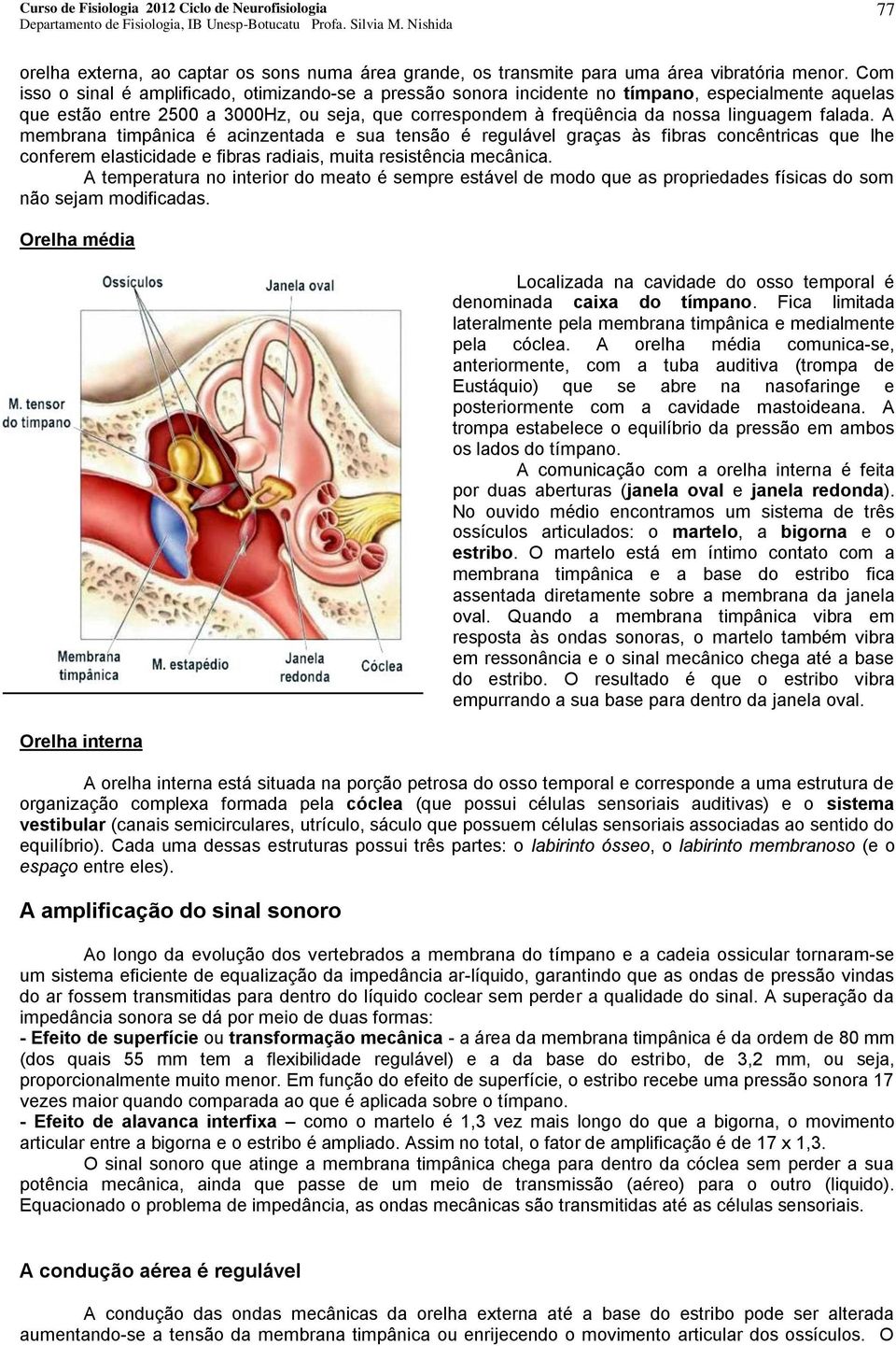 falada. A membrana timpânica é acinzentada e sua tensão é regulável graças às fibras concêntricas que lhe conferem elasticidade e fibras radiais, muita resistência mecânica.