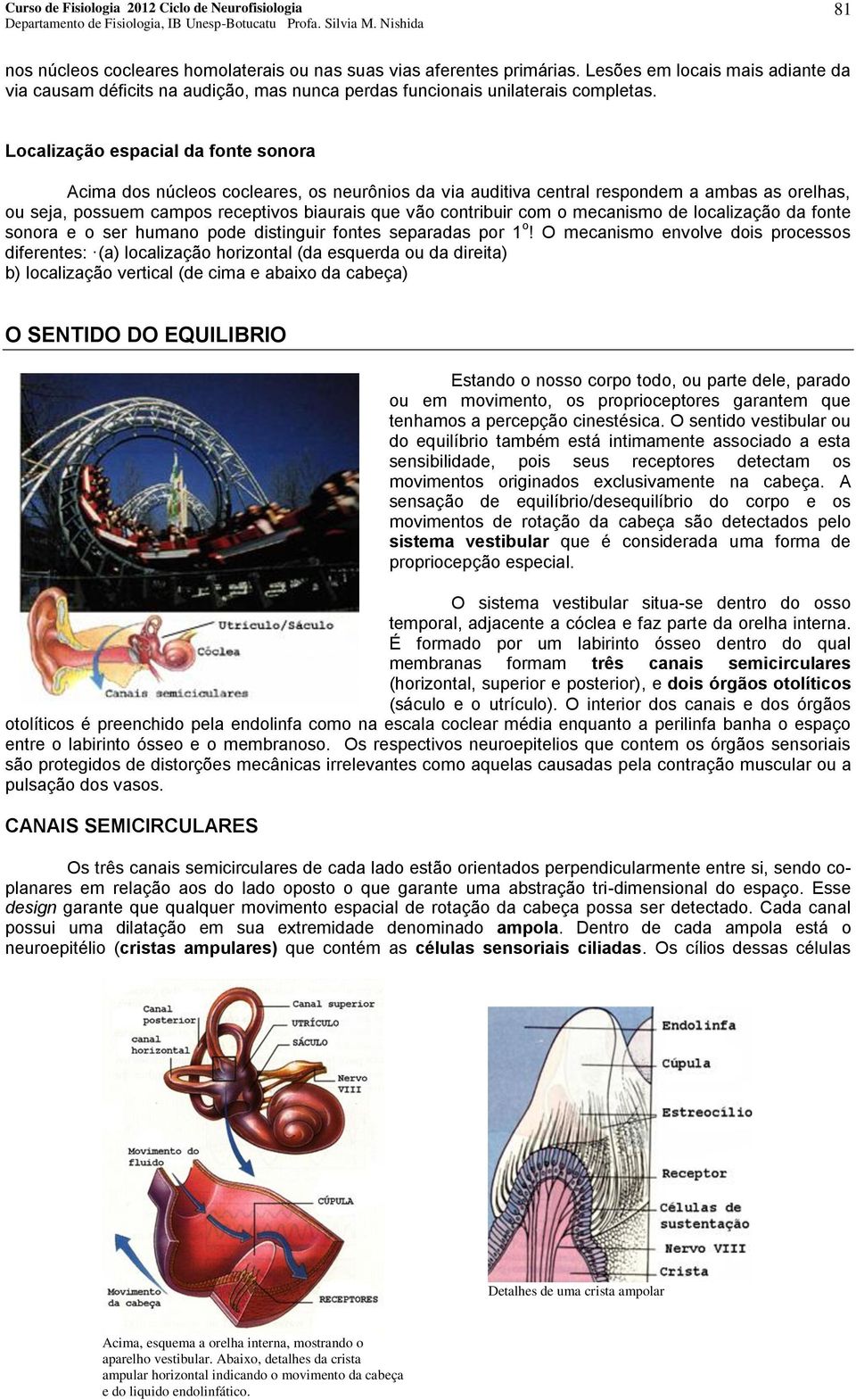 o mecanismo de localização da fonte sonora e o ser humano pode distinguir fontes separadas por 1 o!