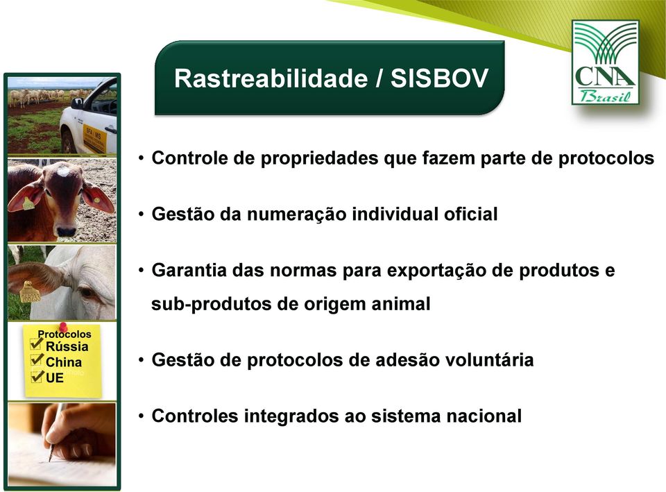 para exportação de produtos e sub-produtos de origem animal Gestão de