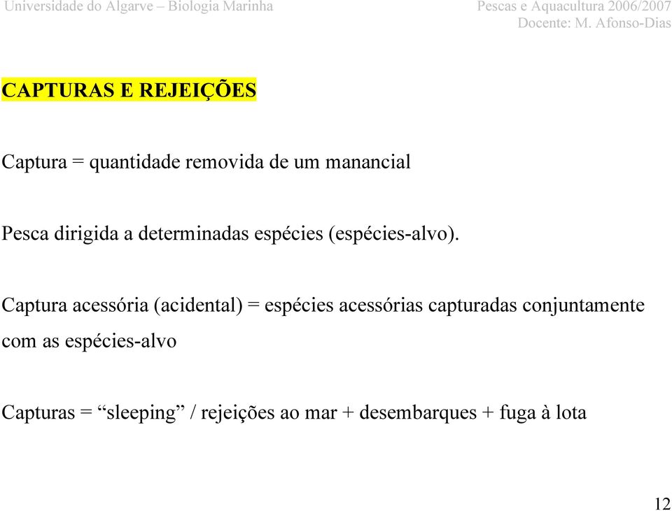 Captura acessória (acidental) = espécies acessórias capturadas