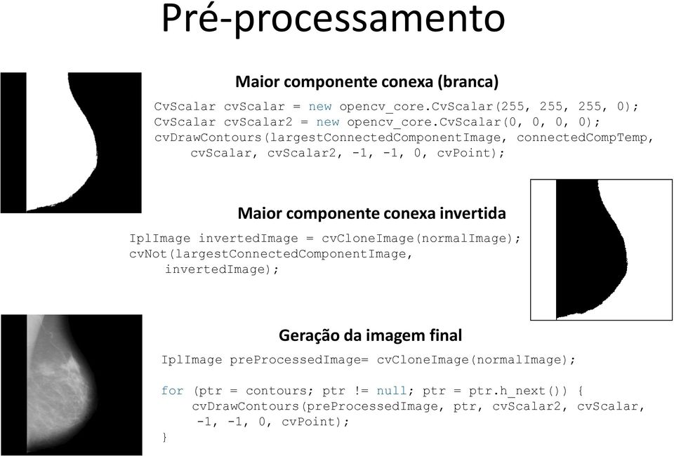 invertida IplImage invertedimage = cvcloneimage(normalimage); cvnot(largestconnectedcomponentimage, invertedimage); Geração da imagem final IplImage