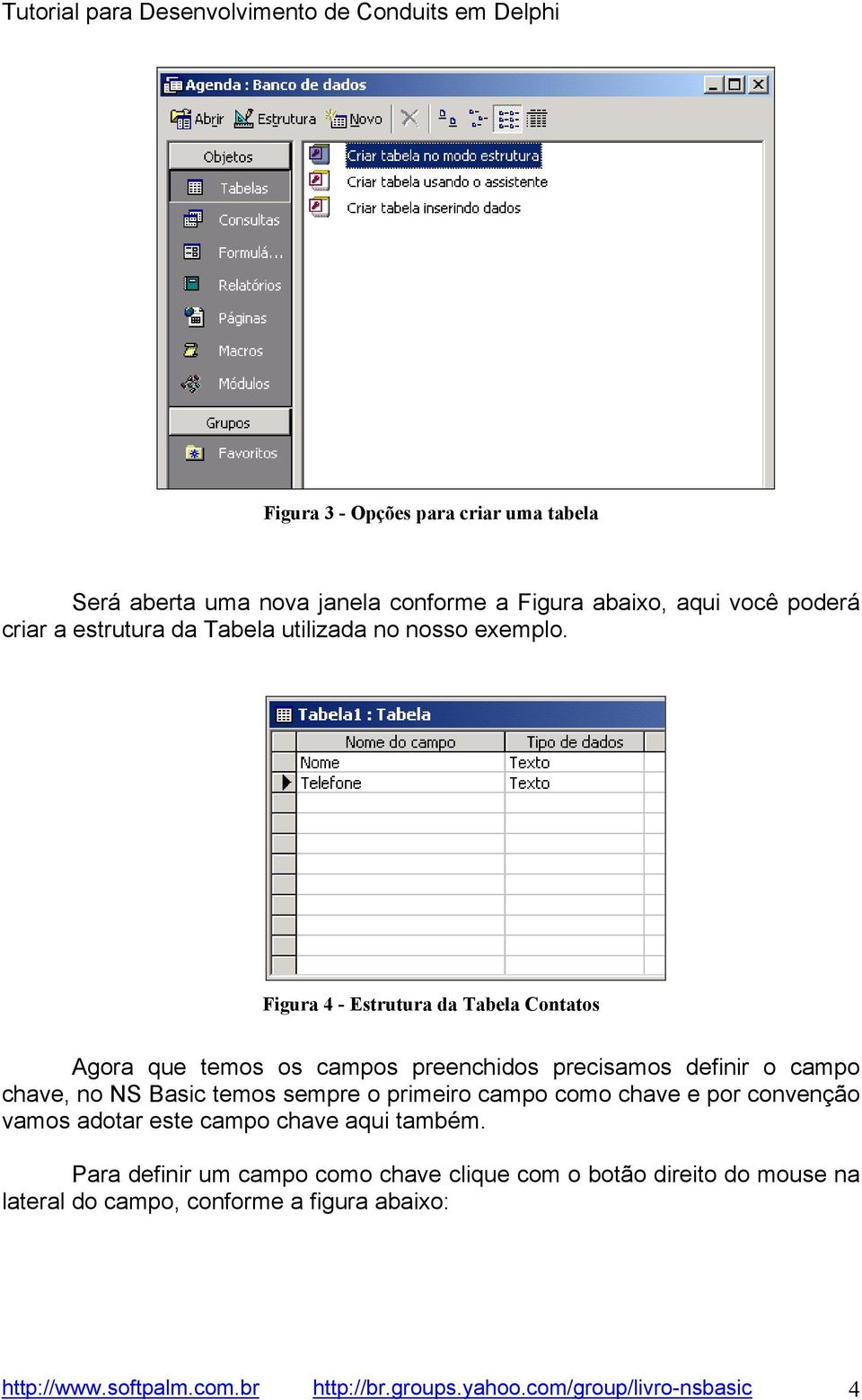 Figura 4 - Estrutura da Tabela Contatos Agora que temos os campos preenchidos precisamos definir o campo chave, no NS Basic temos sempre o