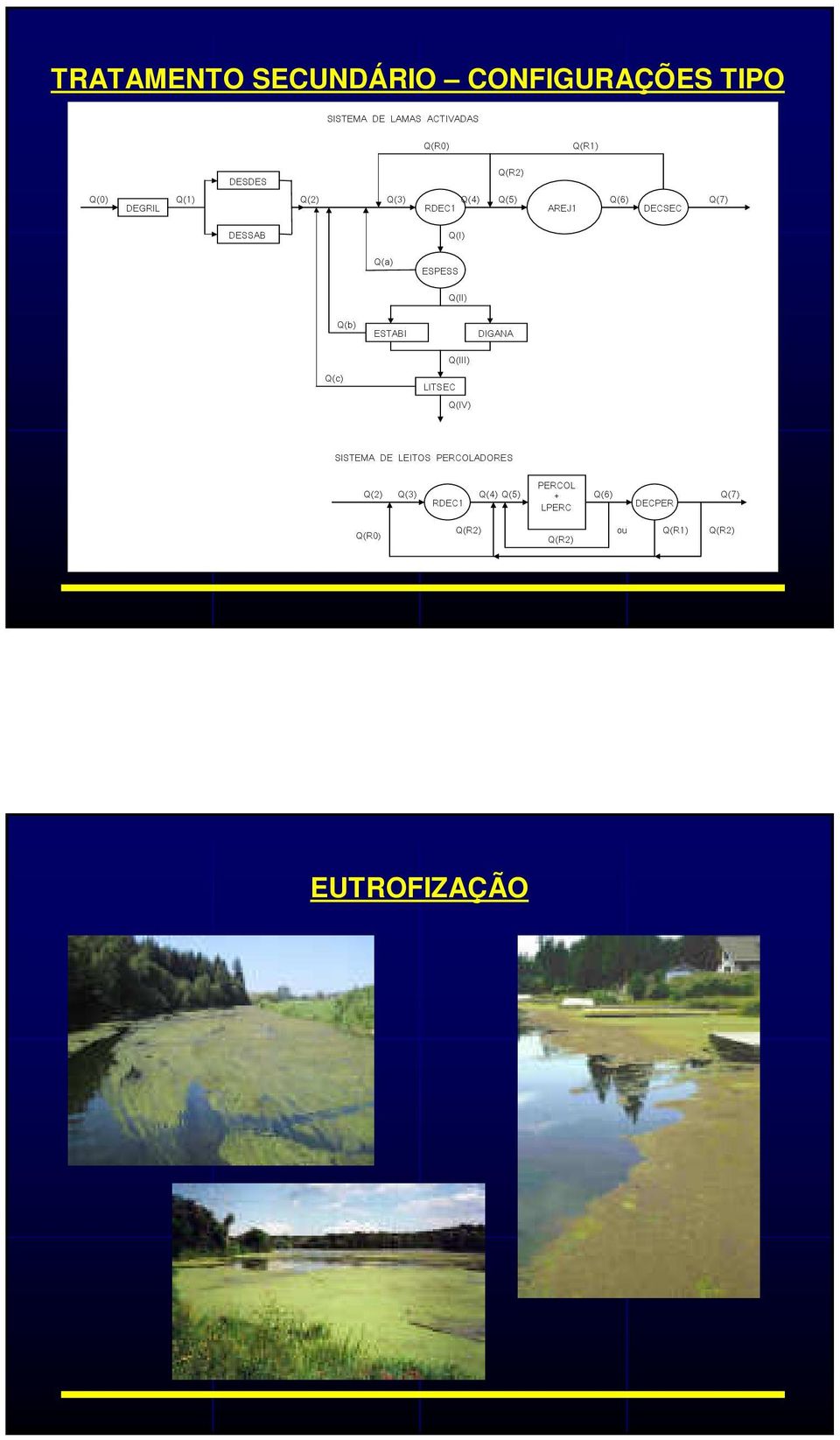 Q(II) Q(b) ESTABI DIGANA Q(III) Q(c) LITSEC Q(IV) SISTEMA DE LEITOS PERCOLADORES Q(2) Q(3)