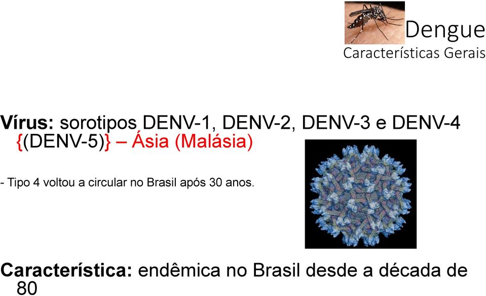 (Malásia) - Tipo 4 voltou a circular no Brasil após