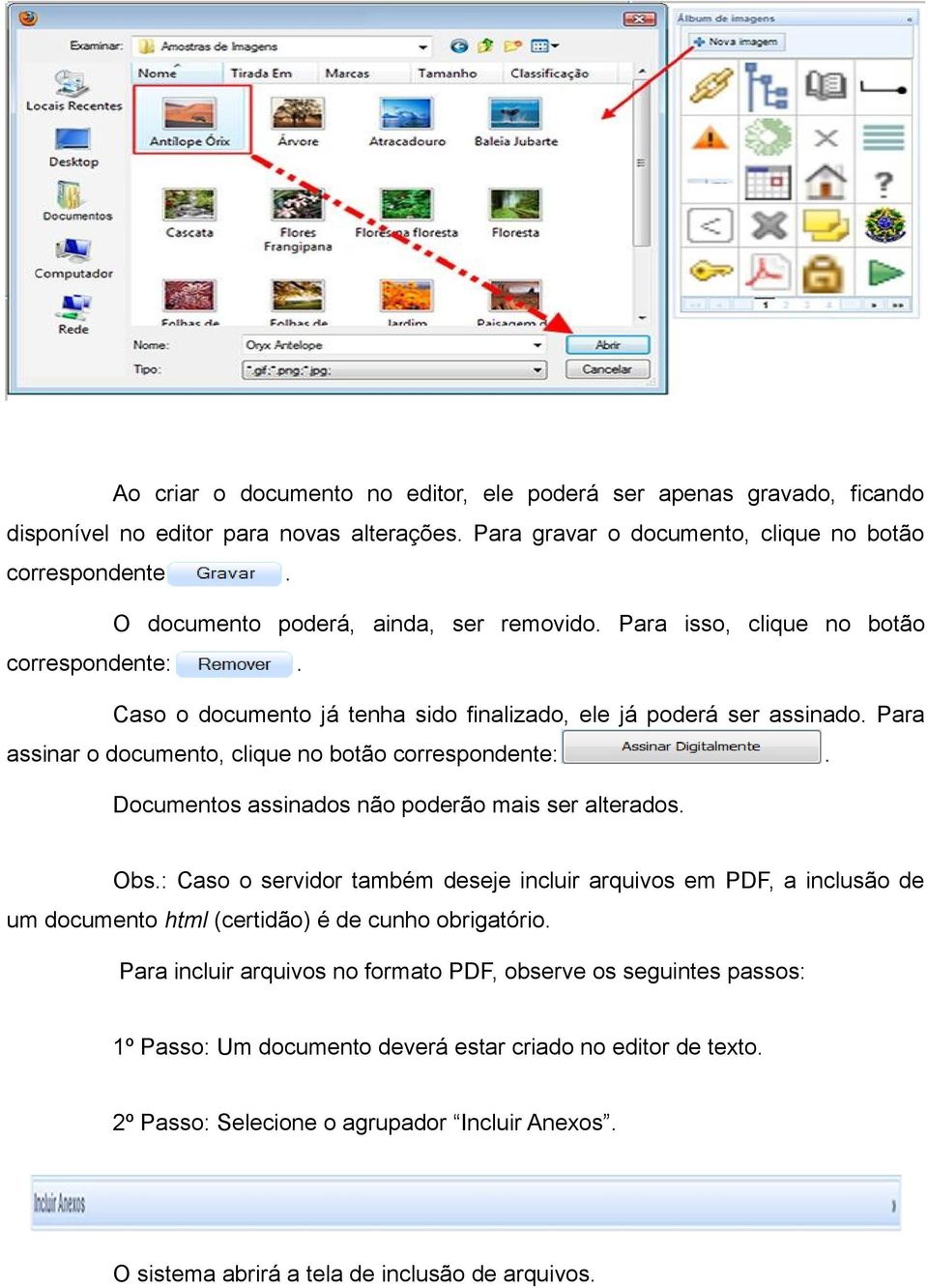 Documentos assinados não poderão mais ser alterados Obs: Caso o servidor também deseje incluir arquivos em PDF, a inclusão de um documento html (certidão) é de cunho obrigatório Para incluir