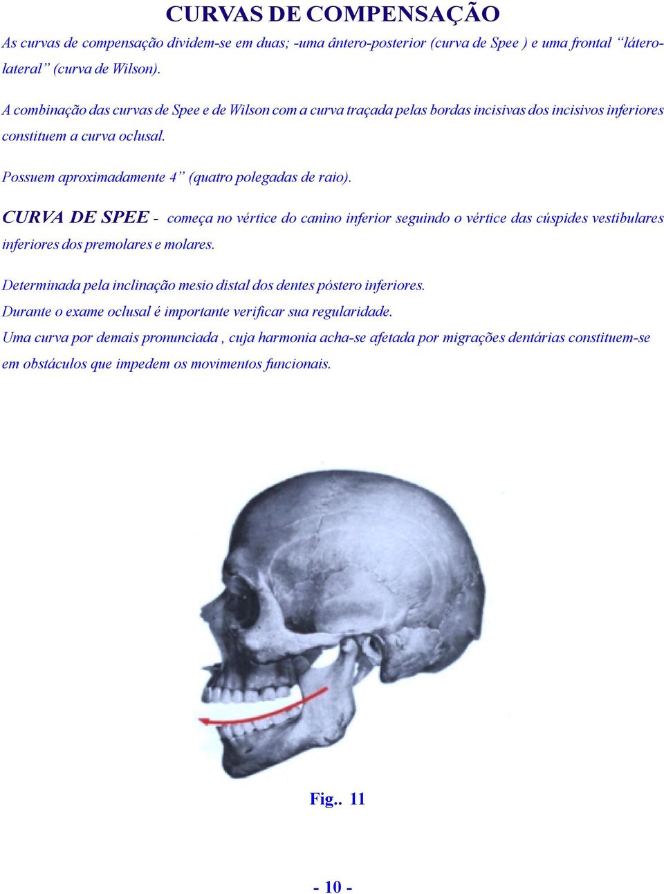 CURVA DE SPEE - começa no vértice do canino inferior seguindo o vértice das cúspides vestibulares inferiores dos premolares e molares.