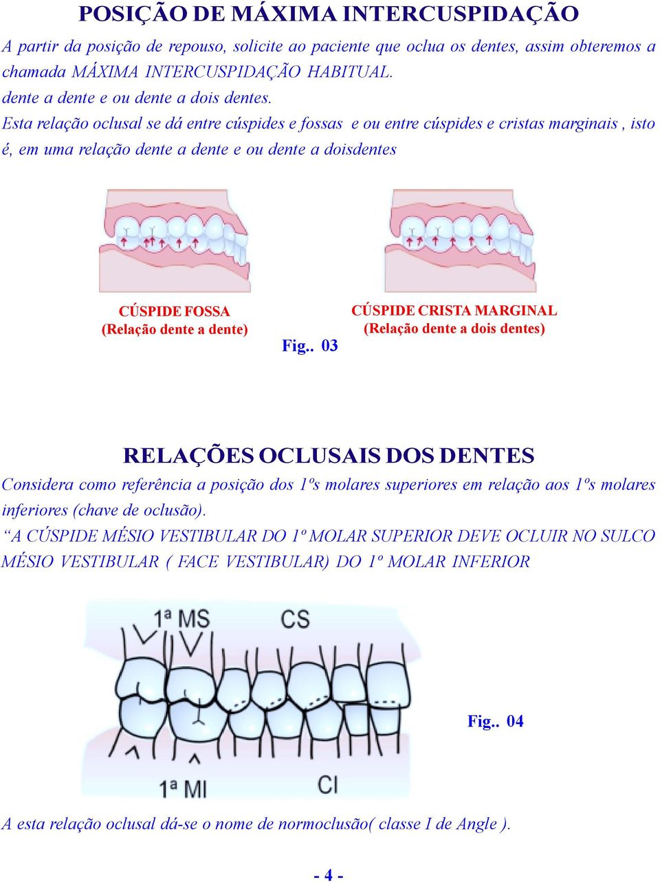 Esta relação oclusal se dá entre cúspides e fossas e ou entre cúspides e cristas marginais, isto é, em uma relação dente a dente e ou dente a doisdentes CÚSPIDE FOSSA (Relação dente a dente) Fig.