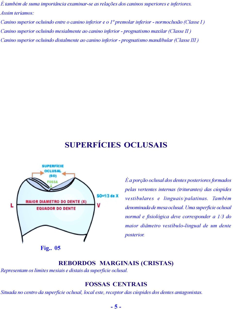 (Classe II ) Canino superior ocluindo distalmente ao canino inferior - prognatismo mandibular (Classe III ) SUPERFÍCIES OCLUSAIS É a porção oclusal dos dentes posteriores formados pelas vertentes