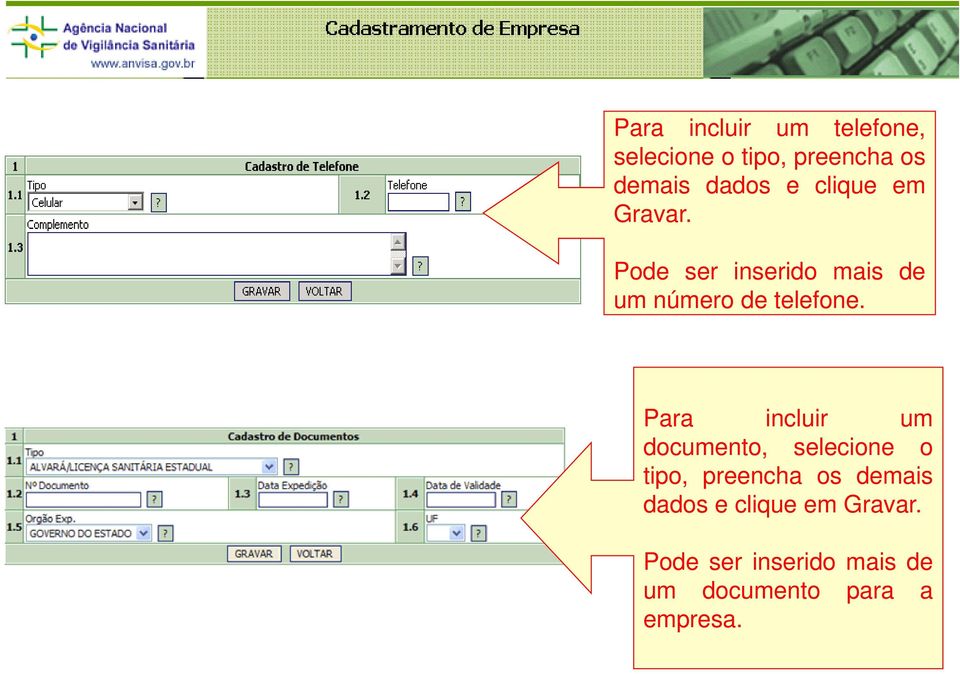 Para incluir um documento, selecione o tipo, preencha os demais dados