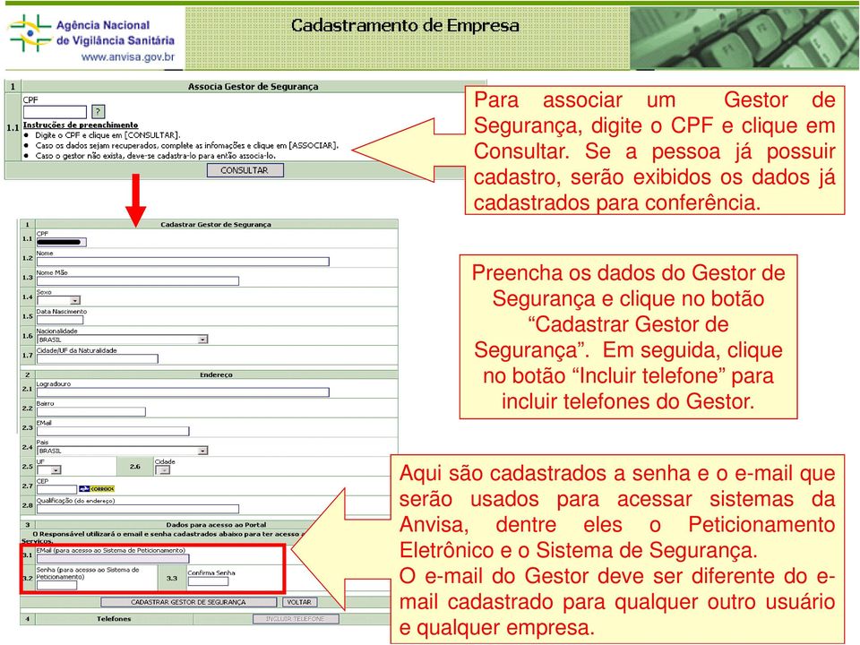 Preencha os dados do Gestor de Segurança e clique no botão Cadastrar Gestor de Segurança.