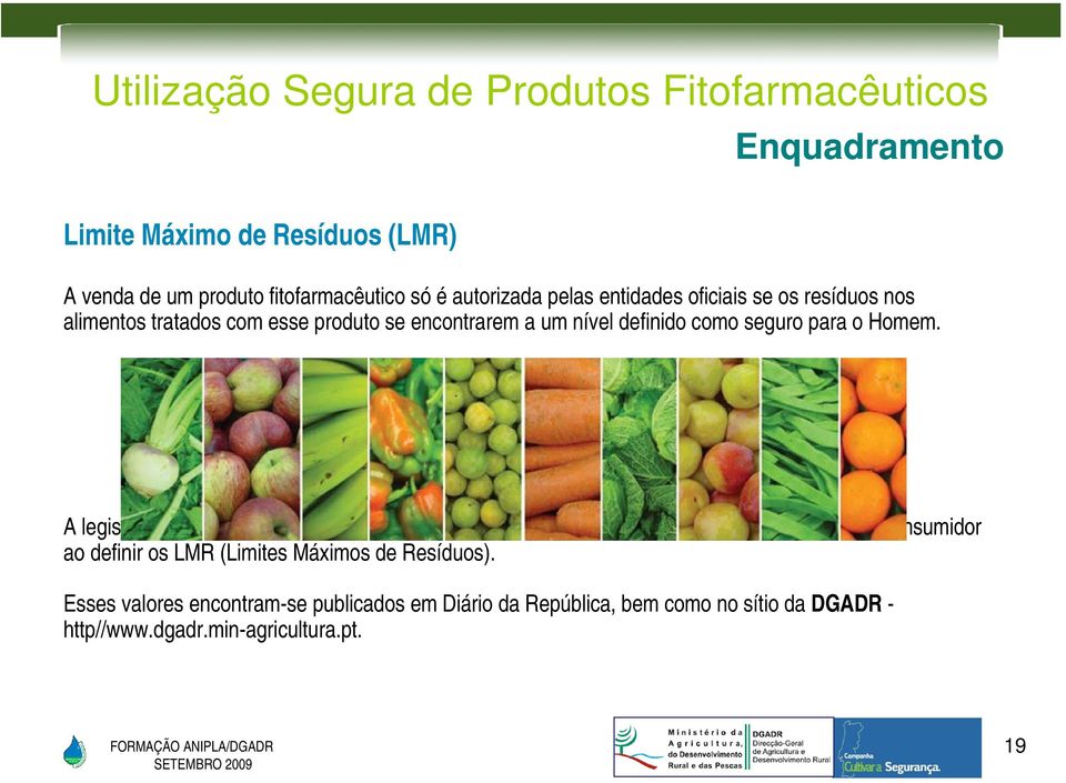 A legislação existente, não apenas em Portugal mas praticamente em todo o mundo, protege o consumidor ao definir os LMR (Limites