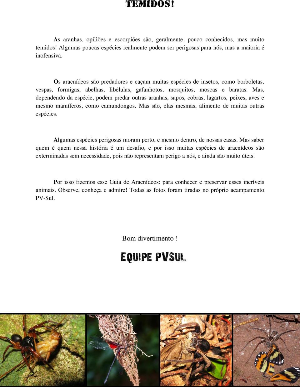 Mas, dependendo da espécie, podem predar outras aranhas, sapos, cobras, lagartos, peixes, aves e mesmo mamíferos, como camundongos. Mas são, elas mesmas, alimento de muitas outras espécies.