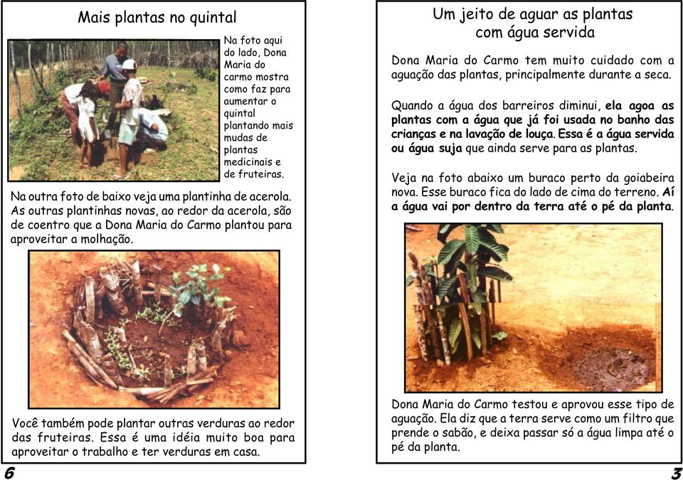 Um jeito de aguar as plantas com água servida Dona Maria do Carmo tem muito cuidado com a aguação das plantas, principalmente durante a seca.