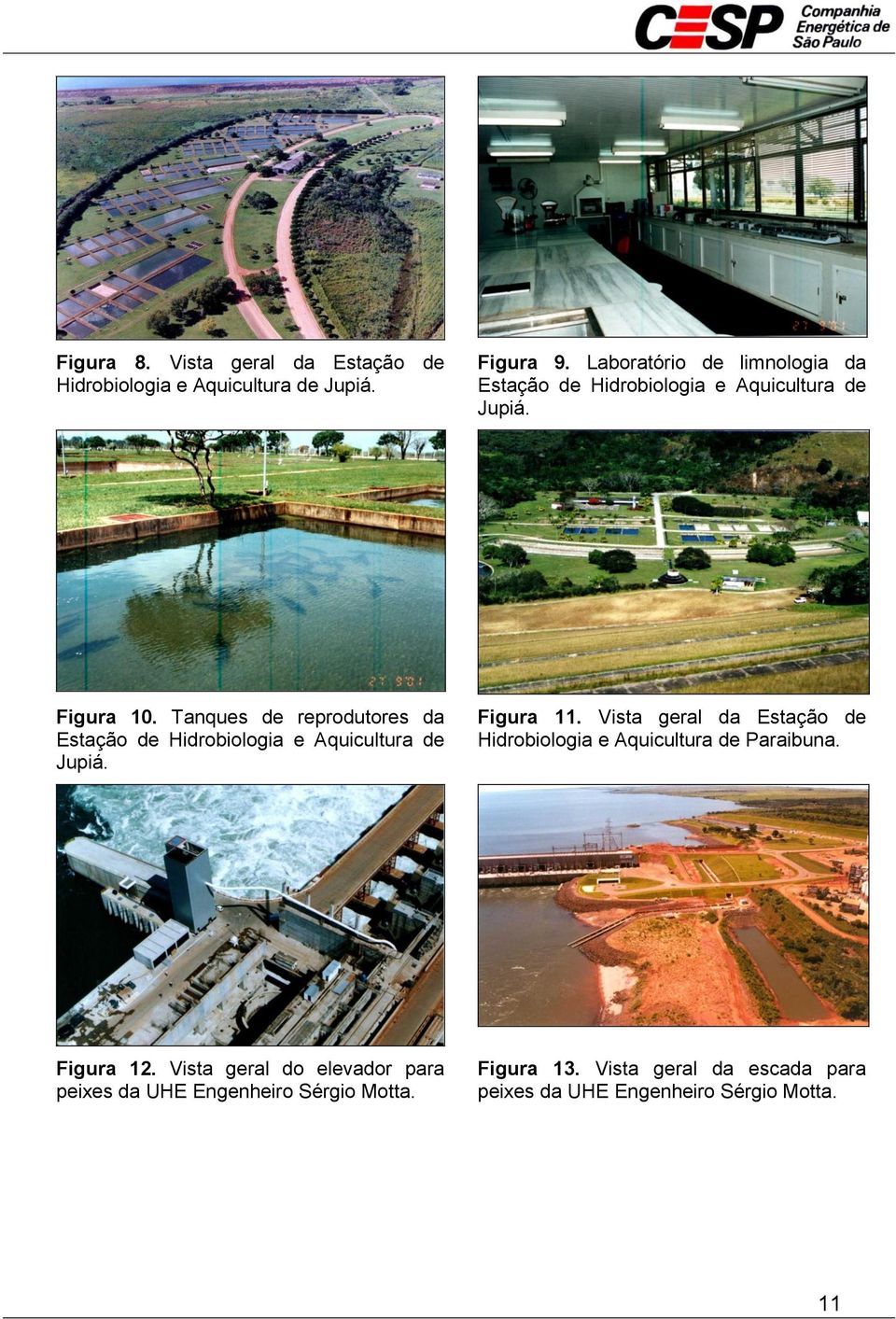 Tanques de reprodutores da Estação de Hidrobiologia e Aquicultura de Jupiá. Figura 11.