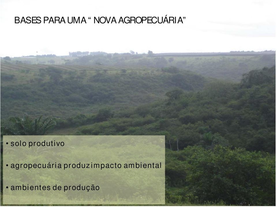 produtivo agropecuária