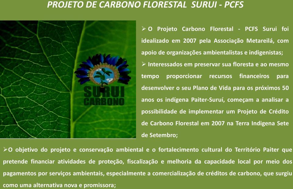 possibilidade de implementar um Projeto de Crédito de Carbono Florestal em 2007 na Terra Indigena Sete de Setembro; O objetivo do projeto e conservação ambiental e o fortalecimento cultural do