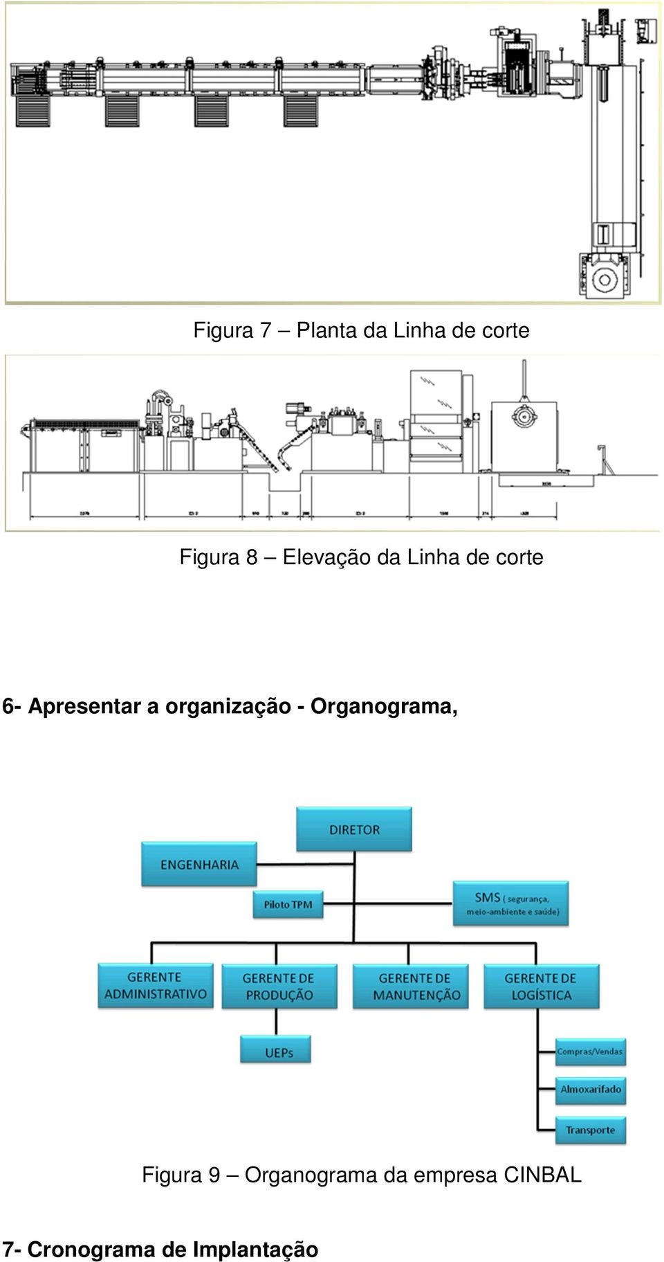 organização - Organograma, Figura 9