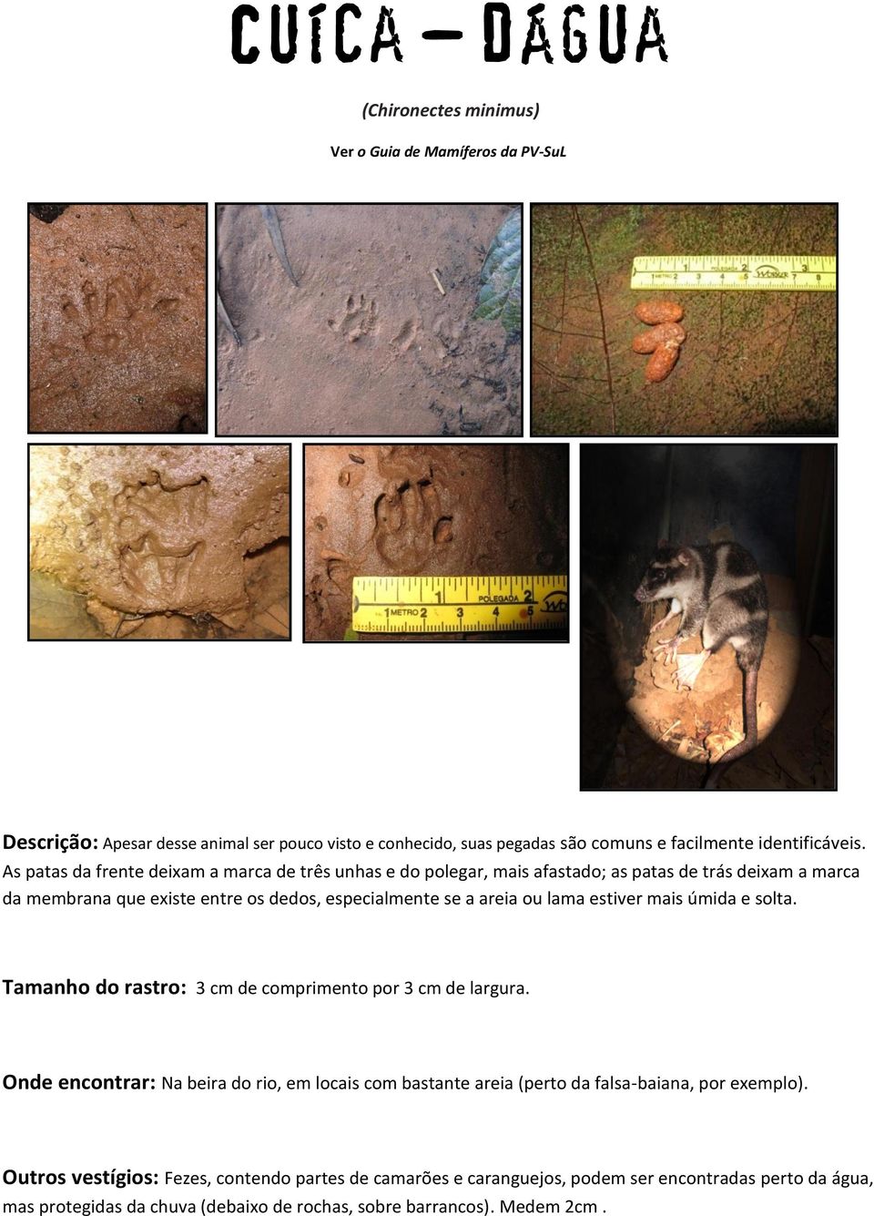 ou lama estiver mais úmida e solta. Tamanho do rastro: 3 cm de comprimento por 3 cm de largura.