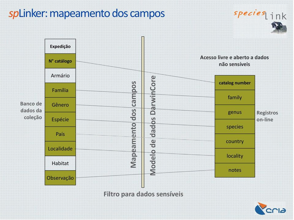 Localidade Habitat Observação Mapeamento dos campos Modelo de dados DarwinCore