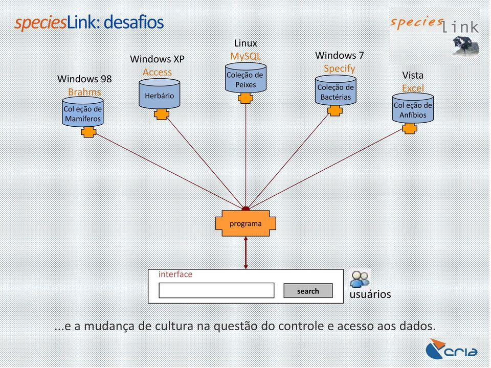 de Bactérias Vista Excel Col eção de Anfíbios programa interface search