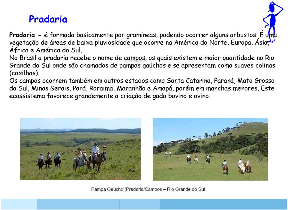 No Brasil a pradaria recebe o nome de campos, os quais existem e maior quantidade no Rio Grande do Sul onde são chamados de pampas gaúchos e se apresentam