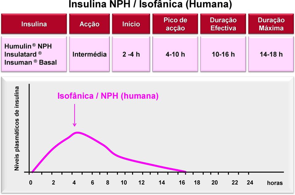 Humulin NPH Insulatard Insuman Basal Intermédia 2-4 h 4-10 h 10-16 h