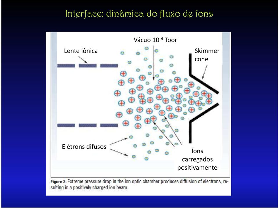 Toor Skimmer cone Elétrons