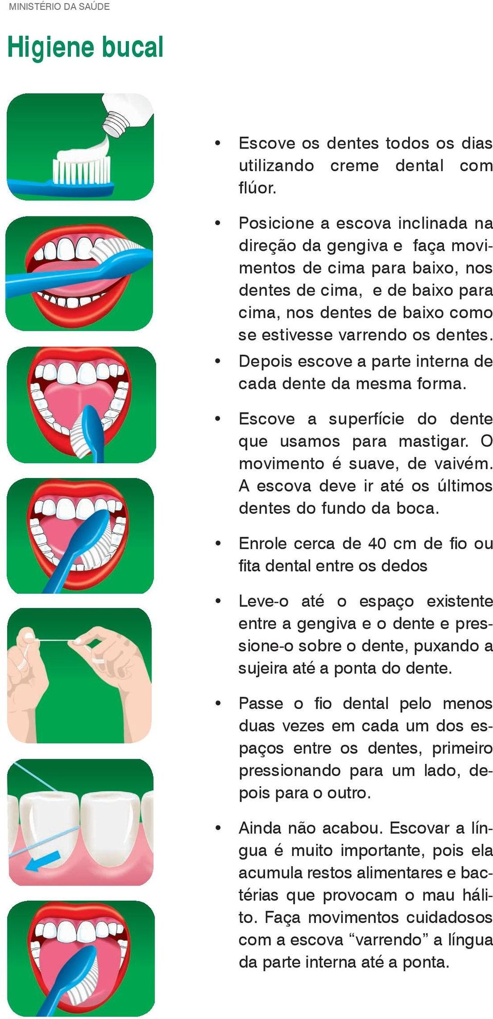 Depois escove a parte interna de cada dente da mesma forma. Escove a superfície do dente que usamos para mastigar. O movimento é suave, de vaivém.