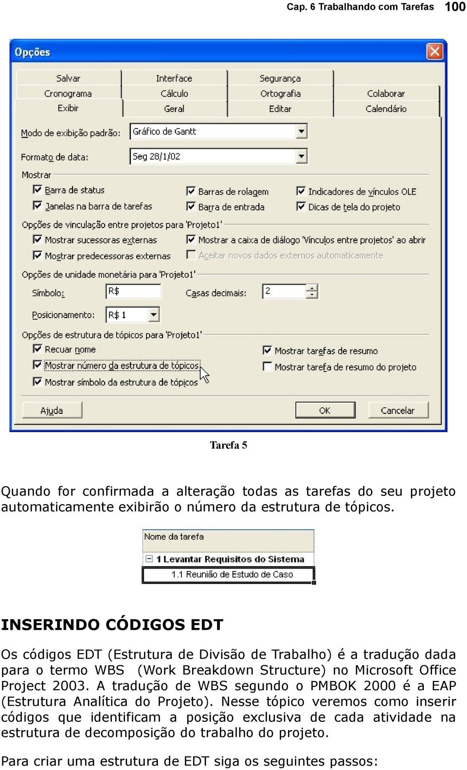 Office Project 2003. A tradução de WBS segundo o PMBOK 2000 é a EAP (Estrutura Analítica do Projeto).