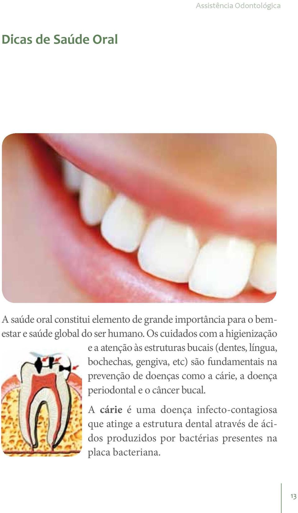 Os cuidados com a higienização e a atenção às estruturas bucais (dentes, língua, bochechas, gengiva, etc) são fundamentais