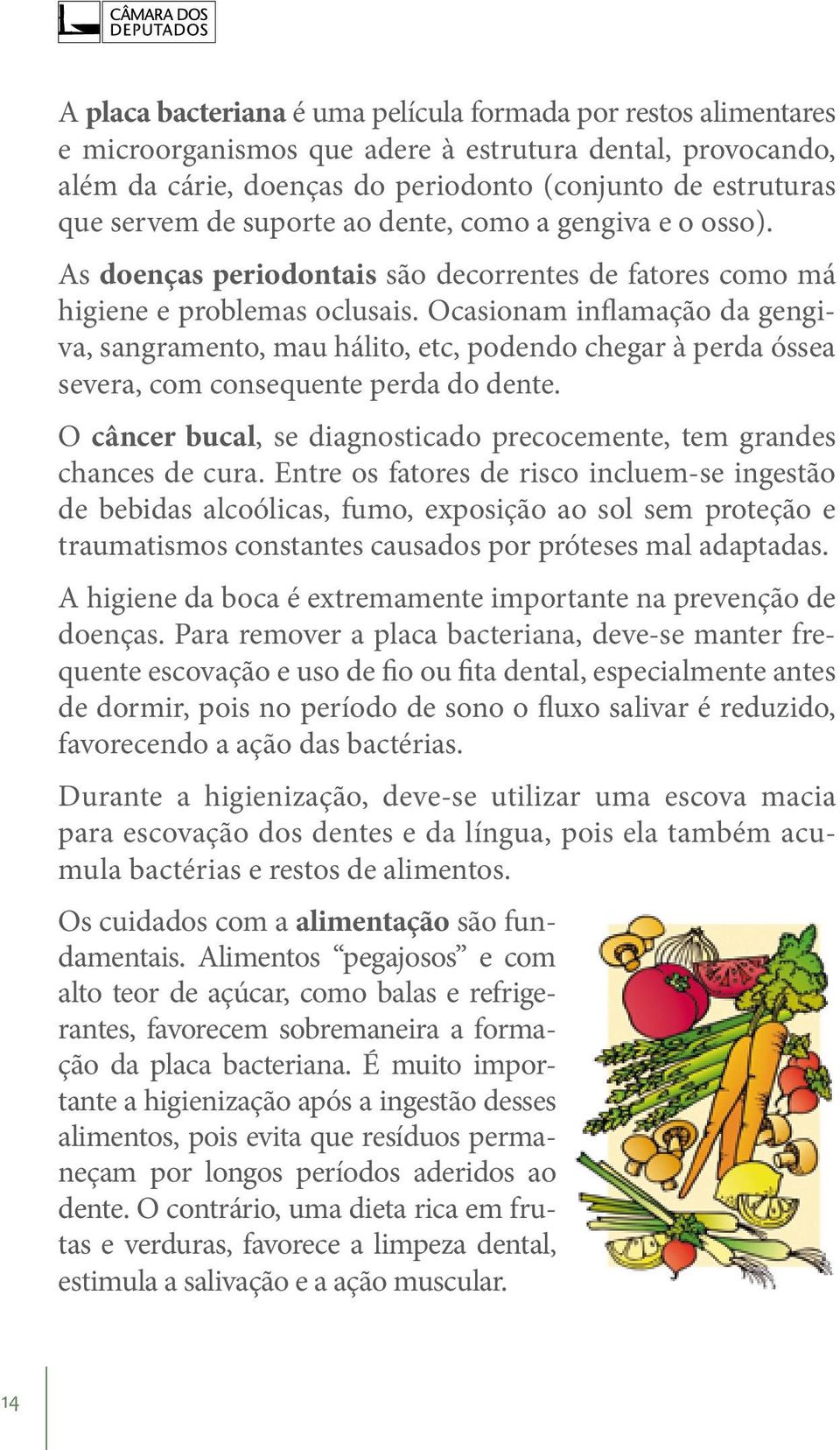 Ocasionam inflamação da gengiva, sangramento, mau hálito, etc, podendo chegar à perda óssea severa, com consequente perda do dente.