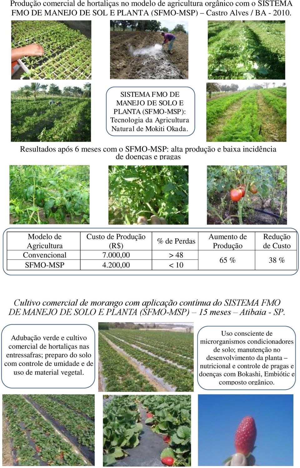 Resultados após 6 meses com o SFMO-MSP: alta produção e baixa incidência de doenças e pragas Modelo de Custo de Produção Agricultura (R$) % de Perdas Convencional 7.000,00 > 48 SFMO-MSP 4.