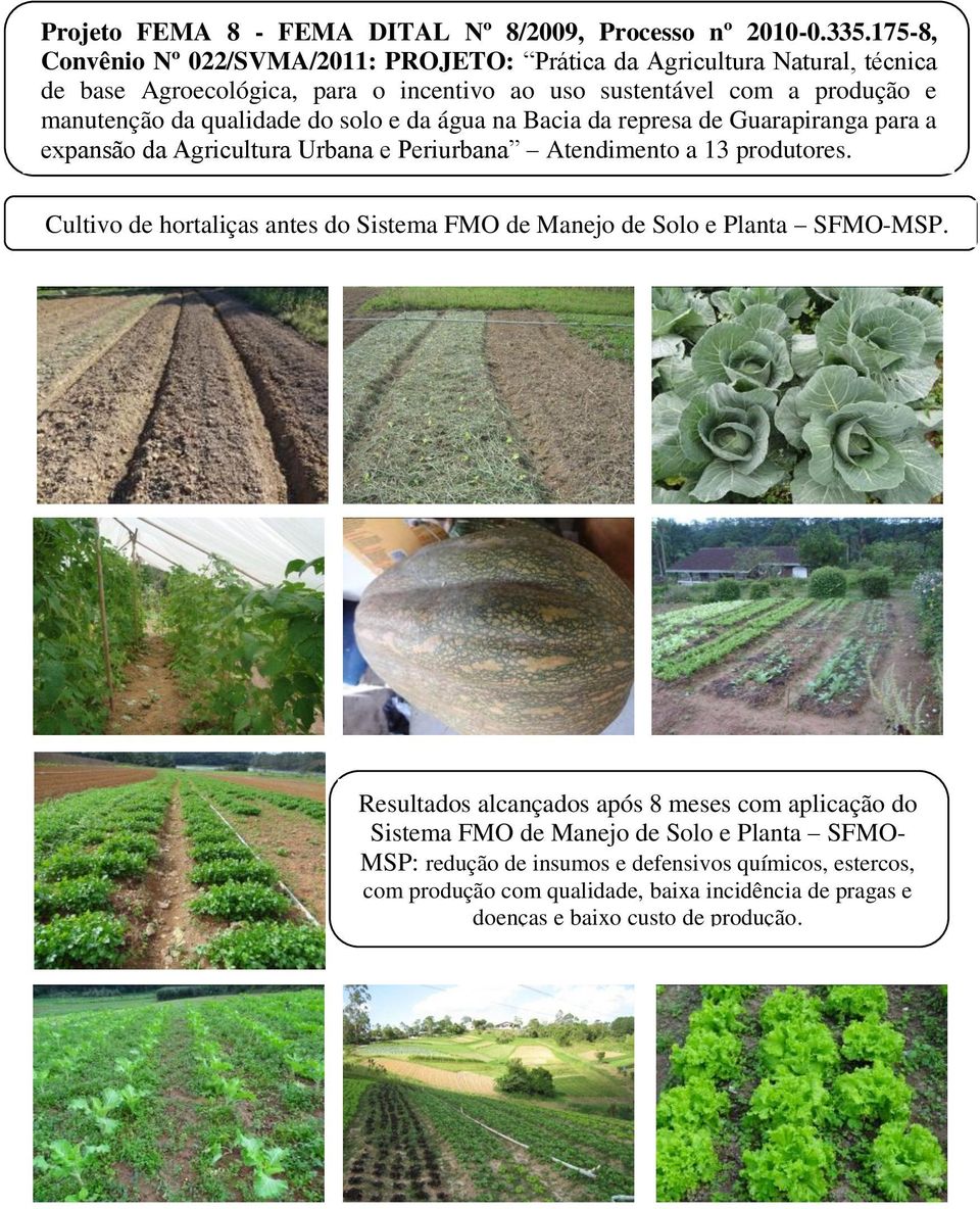 qualidade do solo e da água na Bacia da represa de Guarapiranga para a expansão da Agricultura Urbana e Periurbana Atendimento a 13 produtores.