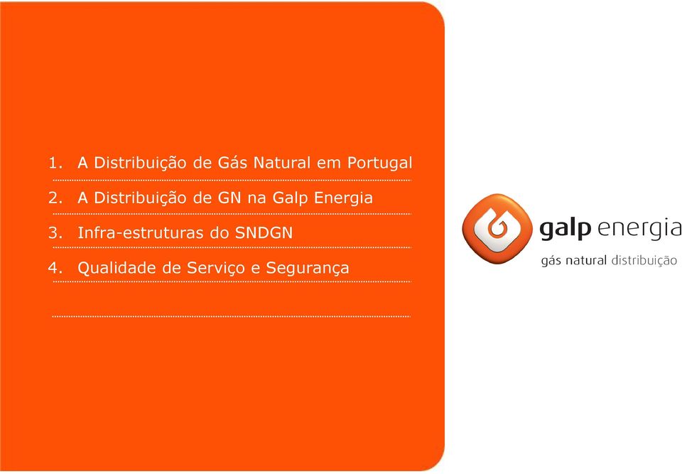 A Distribuição de GN na Galp Energia