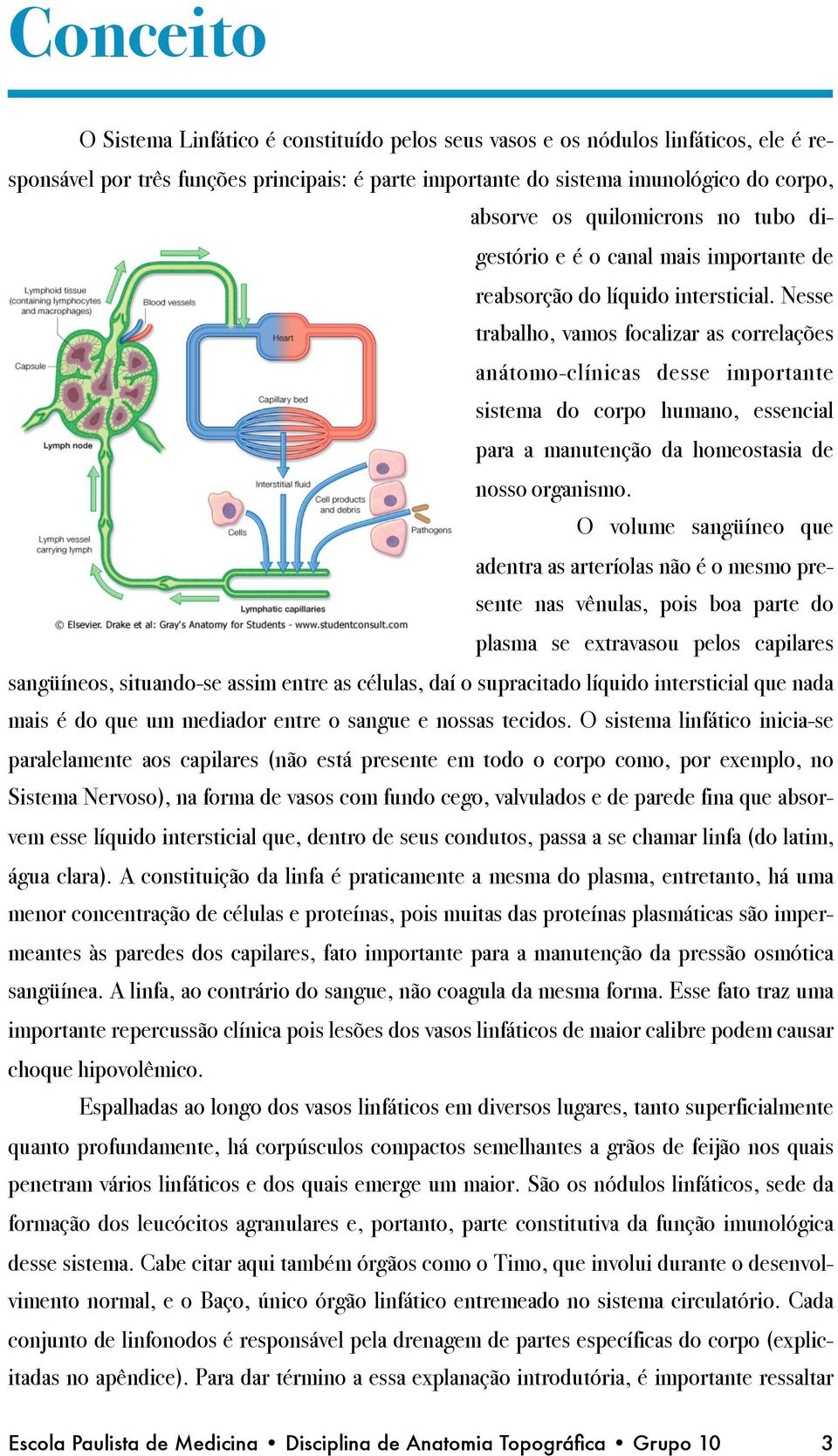 no tubo digestório e é o canal mais importante de reabsorção do líquido intersticial.