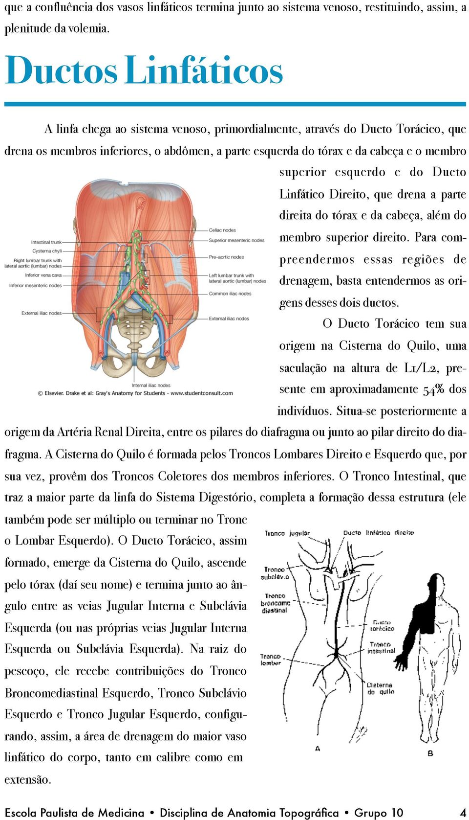 Linfático Direito, que drena a parte direita do tórax e da cabeça, além do membro superior direito. Para compreendermos essas regiões de drenagem, basta entendermos as origens desses dois ductos.