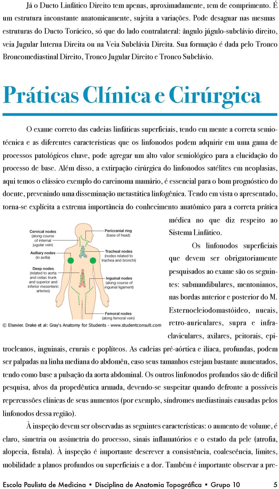 Sua formação é dada pelo Tronco Broncomediastinal Direito, Tronco Jugular Direito e Tronco Subclávio. Práticas Clínica e Cirúrgica!