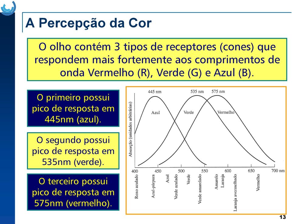 O primeiro possui pico de resposta em 445nm (azul).