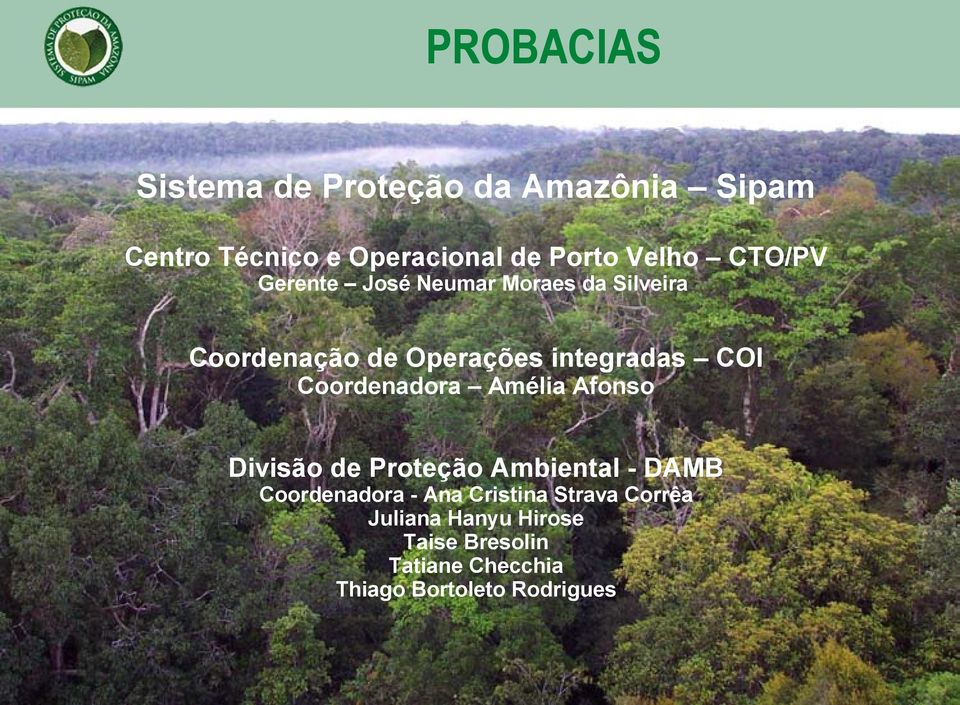 COI Coordenadora Amélia Afonso Divisão de Proteção Ambiental - DAMB Coordenadora - Ana