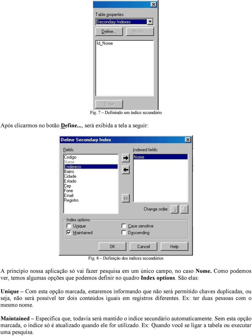 Como podemos ver, temos algumas opções que podemos definir no quadro Index options.