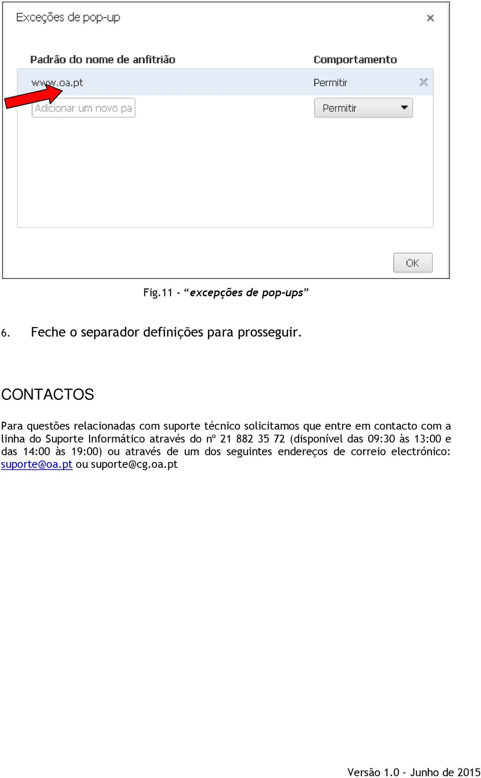 a linha do Suporte Informático através do nº 21 882 35 72 (disponível das 09:30 às 13:00 e das