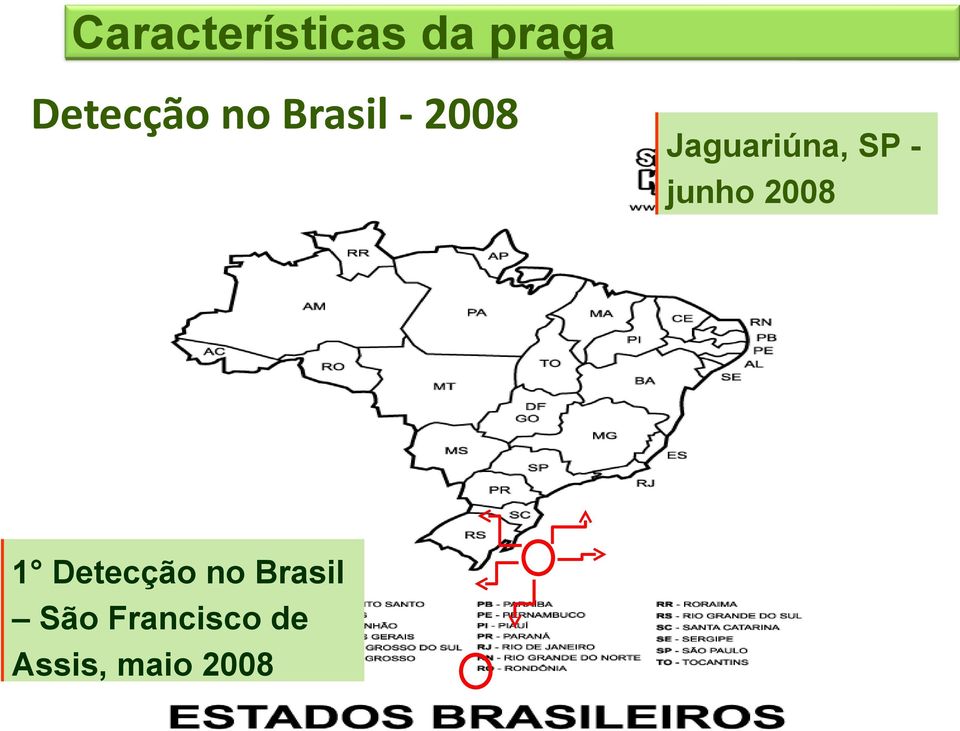 Detecção no Brasil São Francisco
