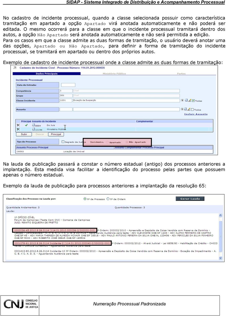 Para os casos em que a classe admite as duas formas de tramitação, o usuário deverá anotar uma das opções, Apartado ou Não Apartado, para definir a forma de tramitação do incidente processual, se